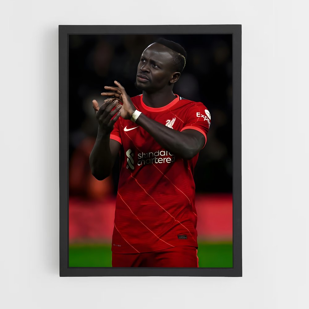 ap-sadio mane-14 cadre Noir