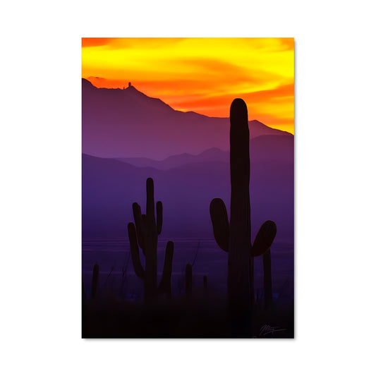 Poster Coucher de Saguaro