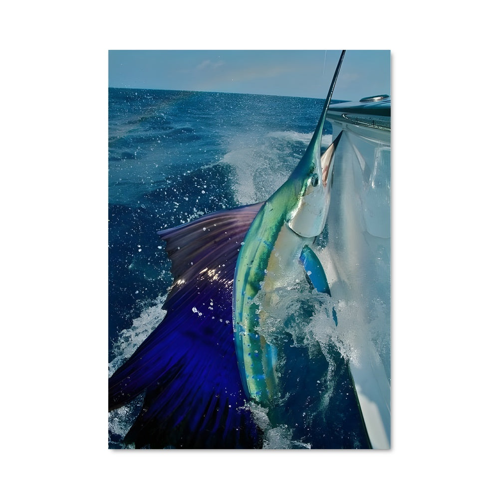 Poster Le Marin et le Poisson