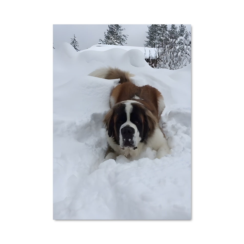 Poster Neige et Tendresse