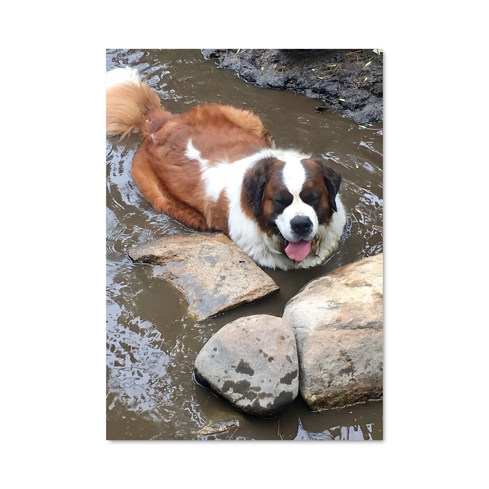 Poster Chien du Bonheur