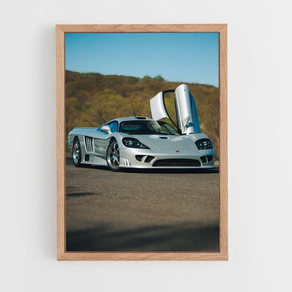 ap-saleen-1 cadre Bois clair