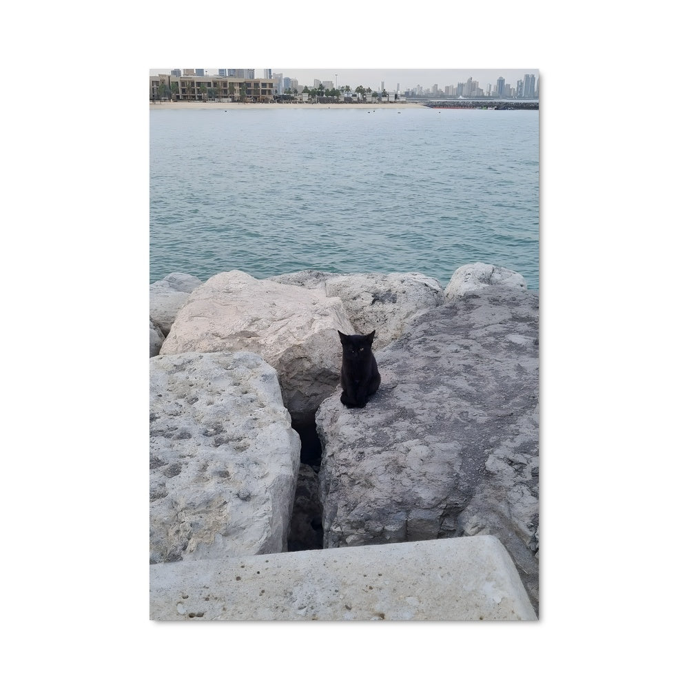 Poster Chat au Bord de l'Eau