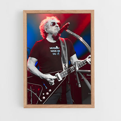 ap-sammy hagar-2 cadre Bois clair