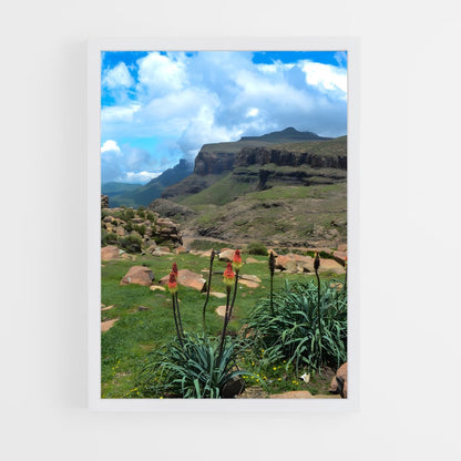 ap-sani pass-2 cadre Blanc