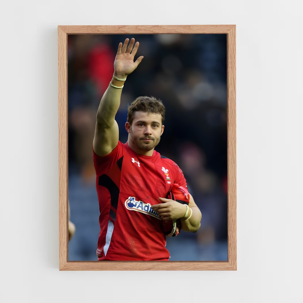 ap-scarlets-2 cadre Bois clair