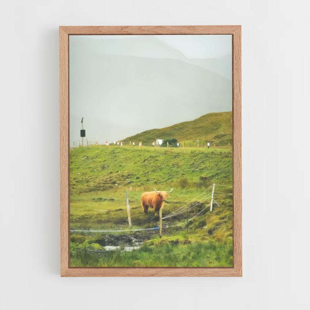 ap-scotland-7 cadre Bois clair