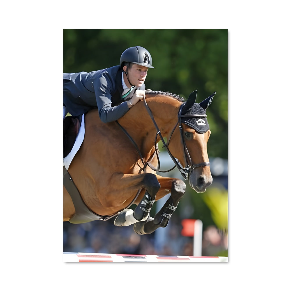 Poster Saut de Velours