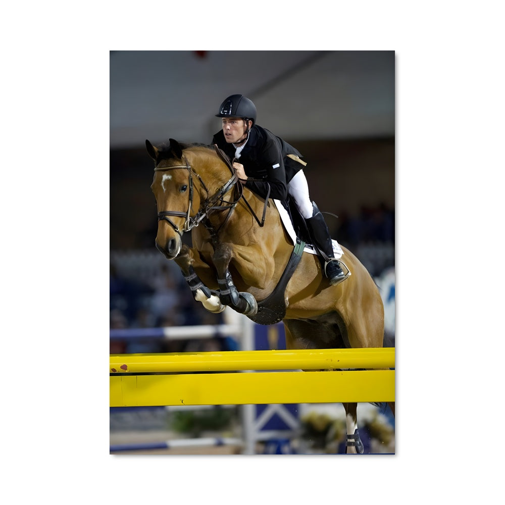 Poster Scott brash 67416