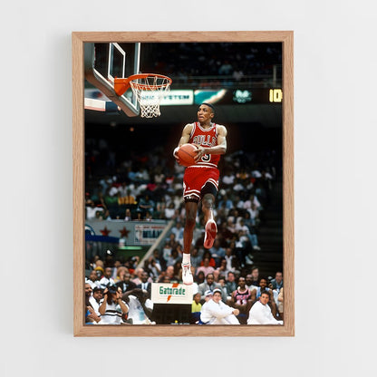 ap-scottie pippen-8 cadre Bois clair