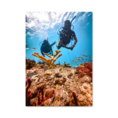 Poster Au Cœur du Corail