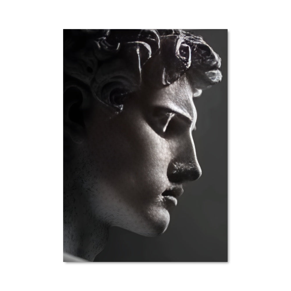 Poster Cheveux En Boucle