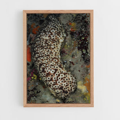 ap-sea cucumber-3 cadre Bois clair