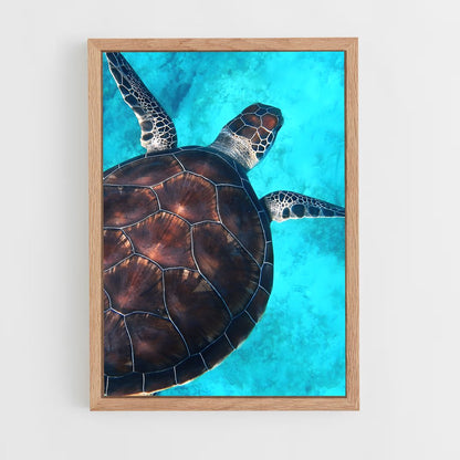 ap-sea turtle-12 cadre Bois clair