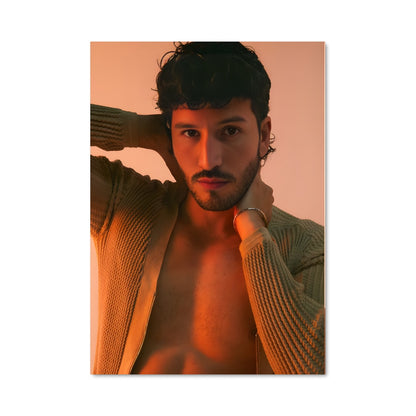Poster Musique Sauvage