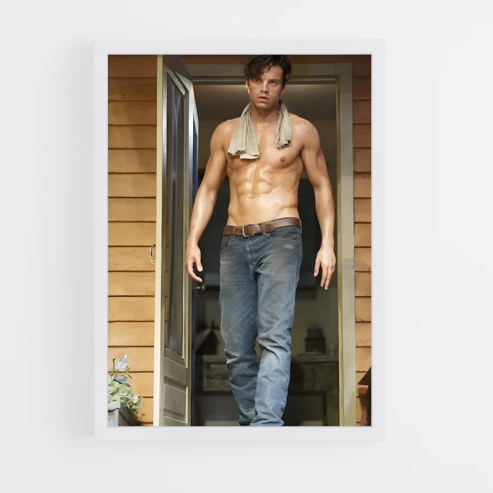 ap-sebastian stan-3 cadre Blanc