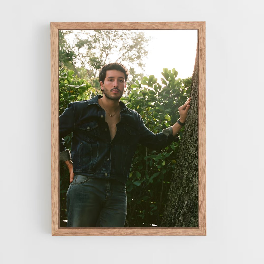 ap-sebastian yatra-9 cadre Bois clair