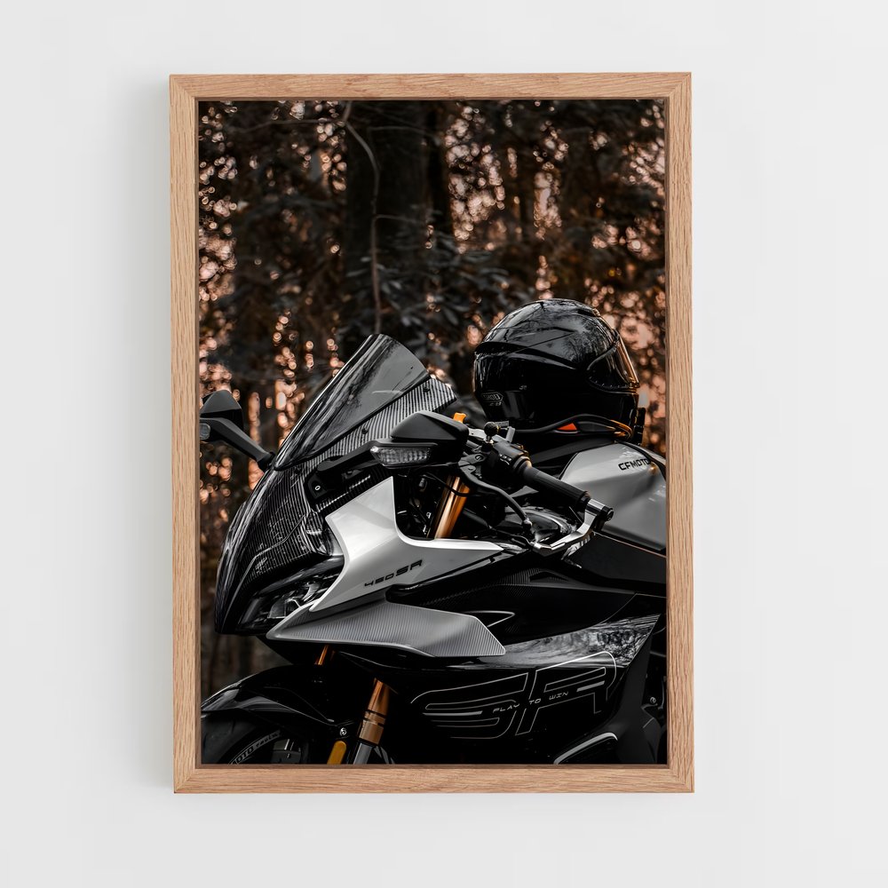 ap-sef-r 450-2 cadre Bois clair