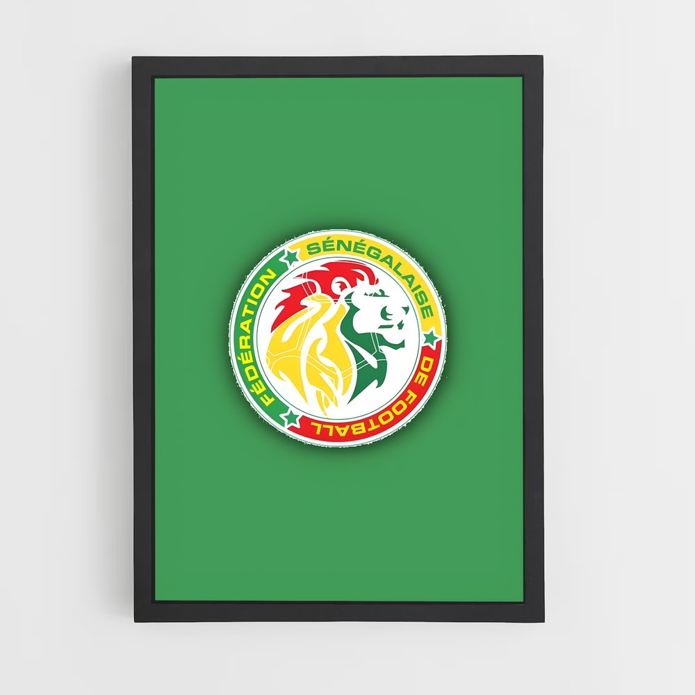 ap-senegal national football team-1 cadre Noir