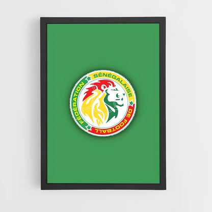 ap-senegal national football team-1 cadre Noir