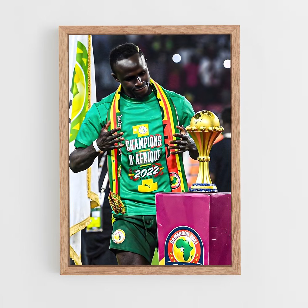 ap-senegal national football team-4 cadre Bois clair