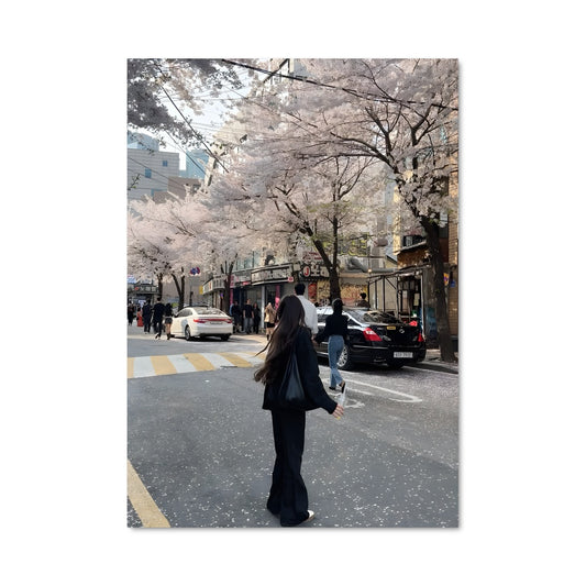 Poster Promenade à Séoul