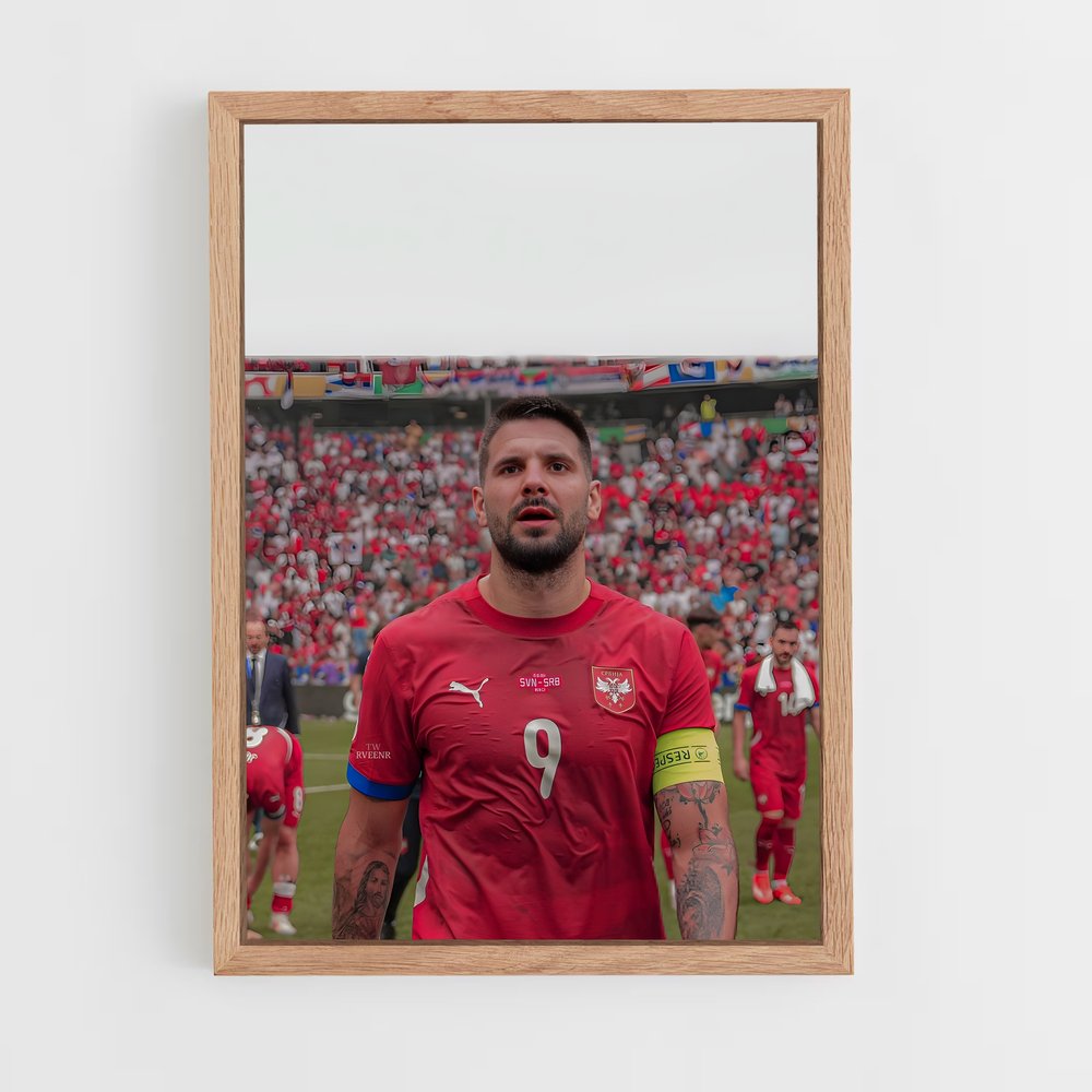 ap-serbia national football team-5 cadre Bois clair