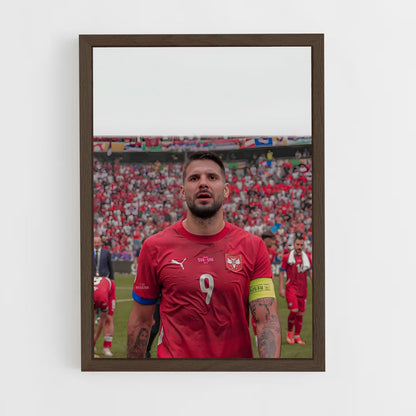 ap-serbia national football team-5 cadre Bois foncé