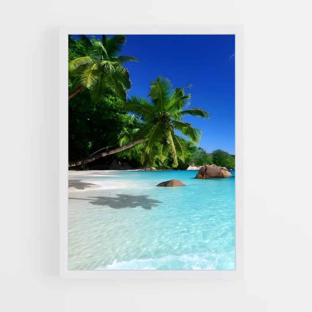 ap-seychelles-6 cadre Blanc