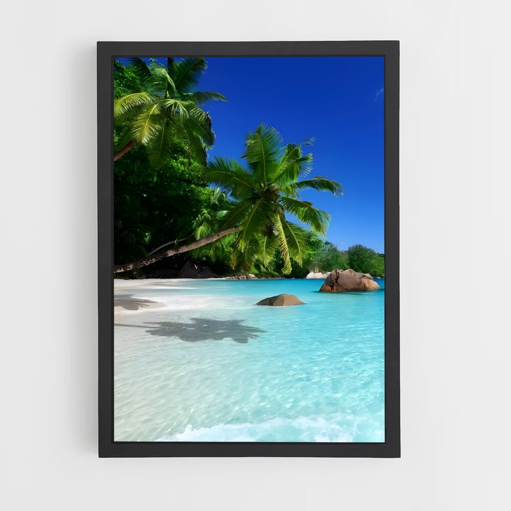 ap-seychelles-6 cadre Noir