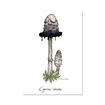 Poster Le Champignon Voyageur