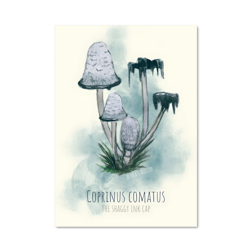 Poster Corins Fungi