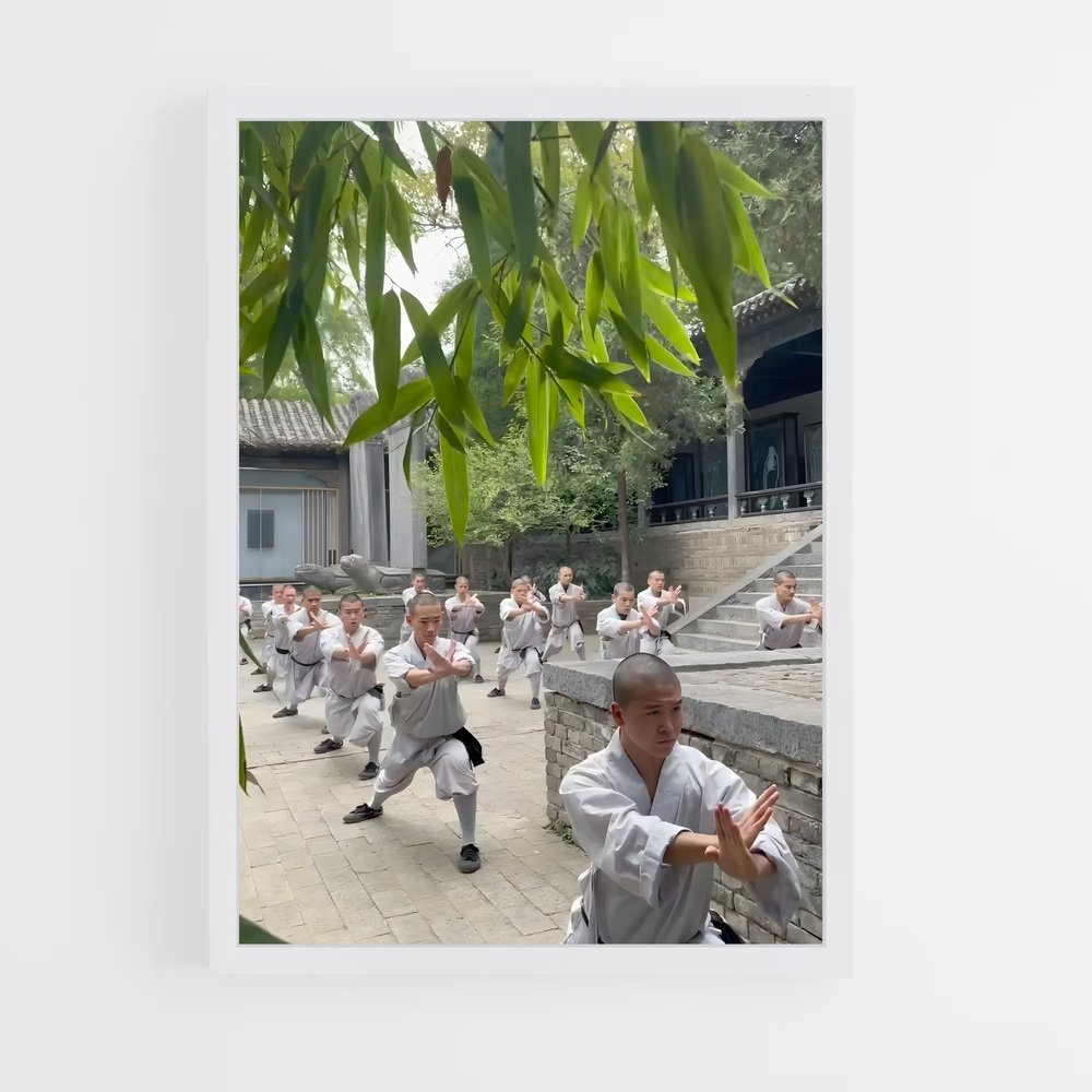 ap-shaolin temple-6 cadre Blanc