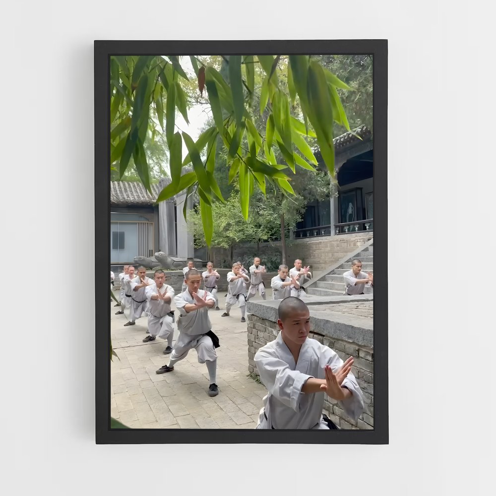 ap-shaolin temple-6 cadre Noir