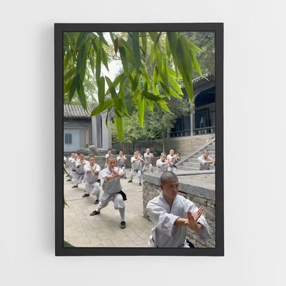 ap-shaolin temple-6 cadre Noir