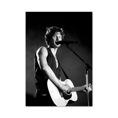 Poster Shawn mendes 52520