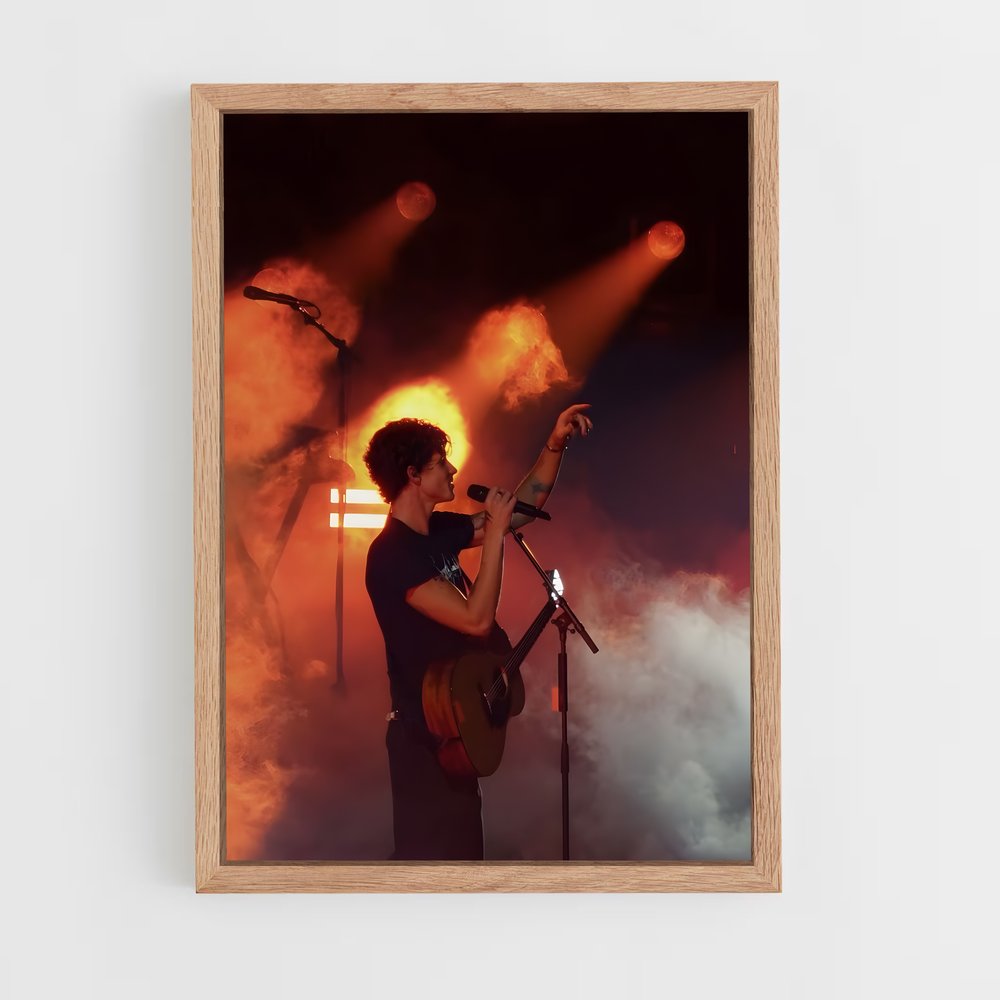 ap-shawn mendes-11 cadre Bois clair