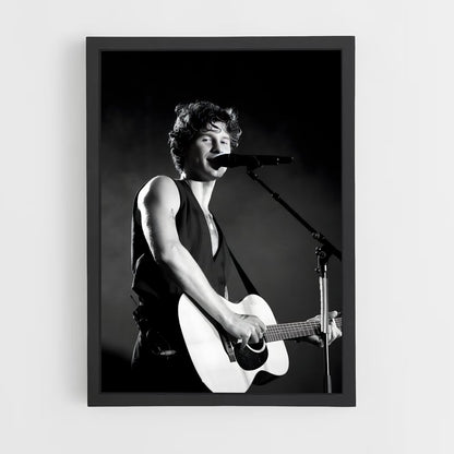 ap-shawn mendes-13 cadre Noir