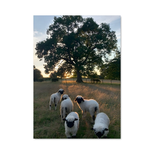 Poster La Trinité Champêtre