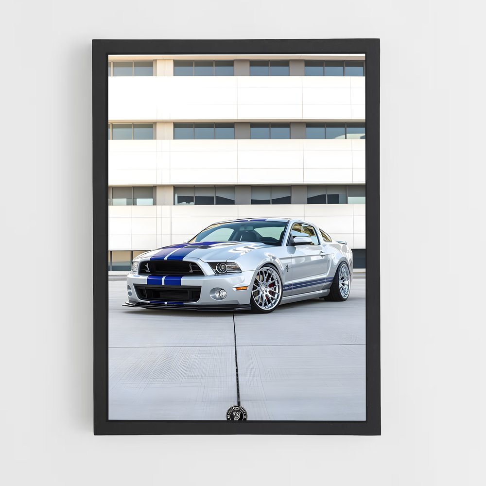 ap-shelby-1 cadre Noir