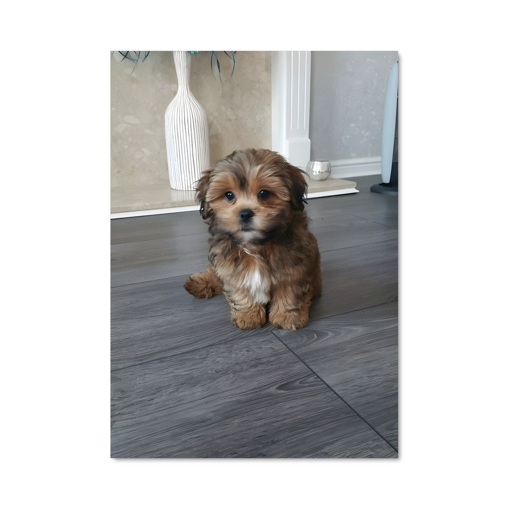 Poster Petit Chien Chill