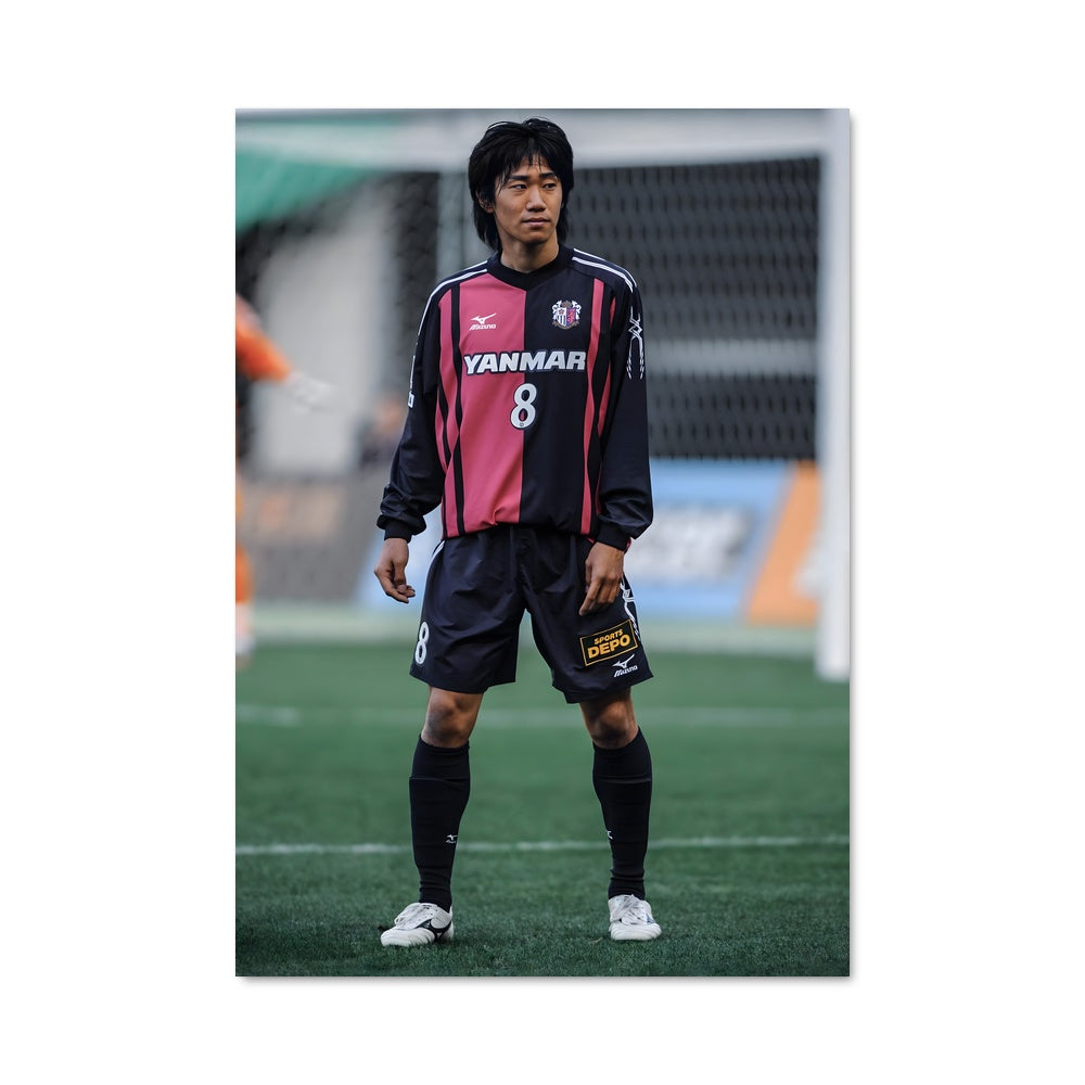 Poster Kagawa en Action