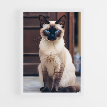 ap-siamese-4 cadre Blanc