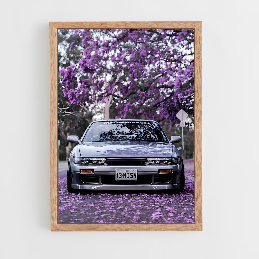 ap-silvia s13-4 cadre Bois clair