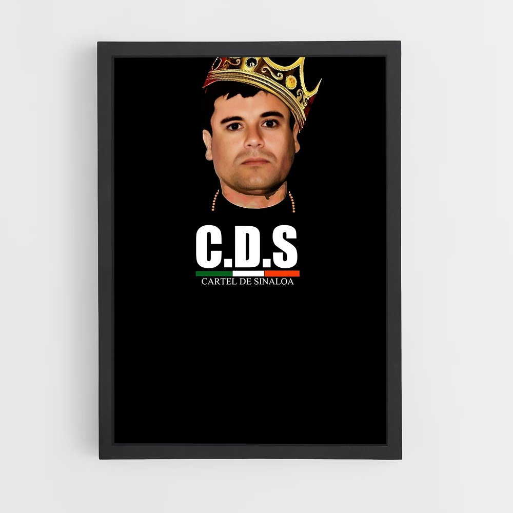 ap-sinaloa cartel-1 cadre Noir