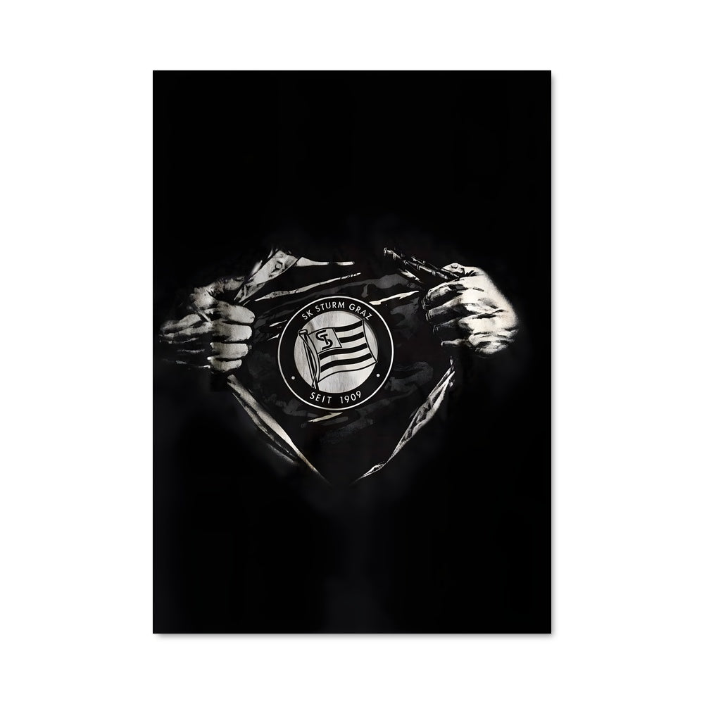Poster Alliance Noire