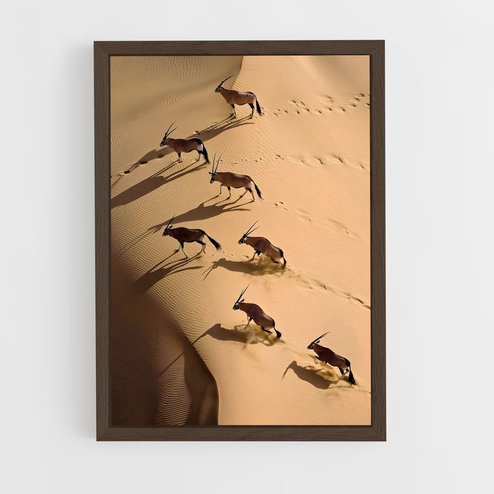 ap-skeleton coast-8 cadre Bois foncé