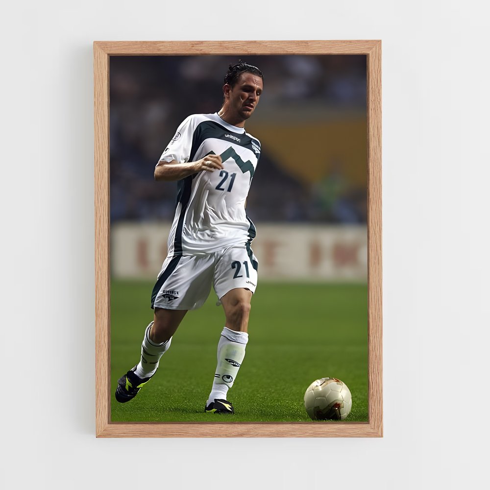 ap-slovenia national football team-1 cadre Bois clair