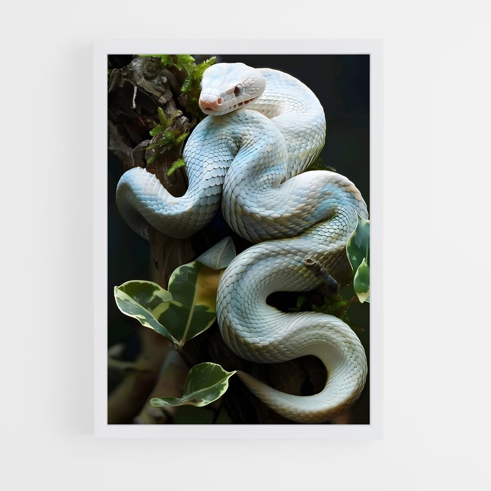 ap-snake-3 cadre Blanc