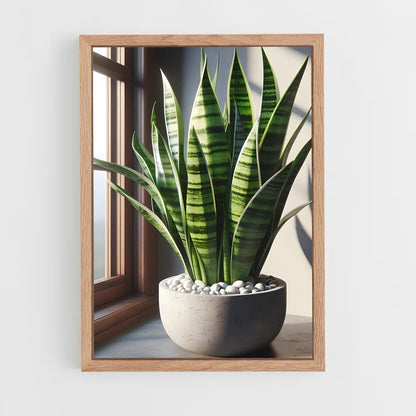 ap-snake plant-2 cadre Bois clair